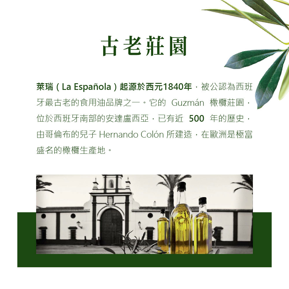 放大